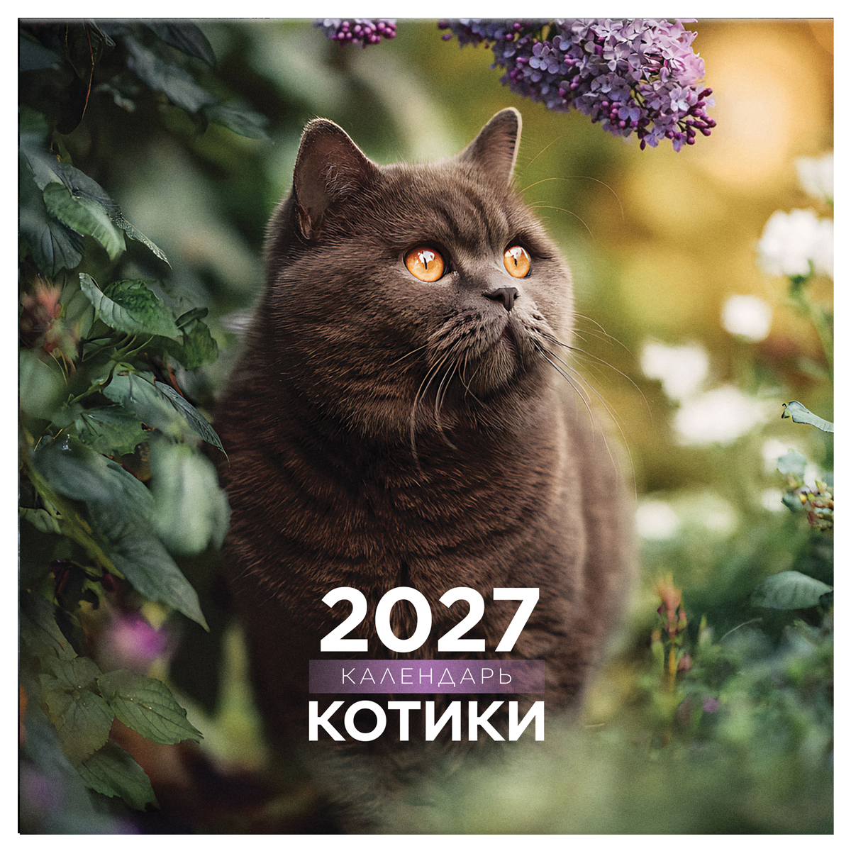 Календарь настенный перекидной на скрепке, 290*290 мм 12л. BG "Котики", 2027г.