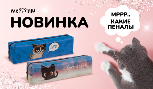 Коты и аниме: новая коллекция пеналов MESHU