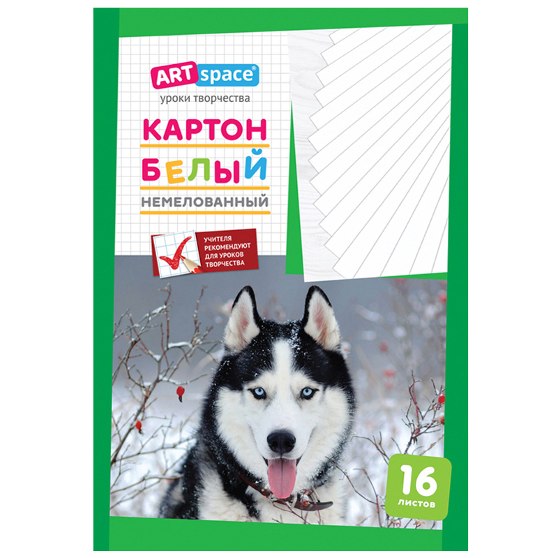 Картон белый А4, ArtSpace, 16 л., немелованный, в папке